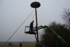 Bouw Ooievaarsnest